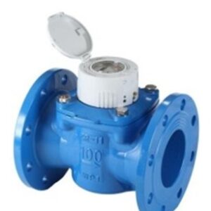 Счетчик воды WPD-T50, DN 65, Qn 40, L 200 mm,  класс С, IP68